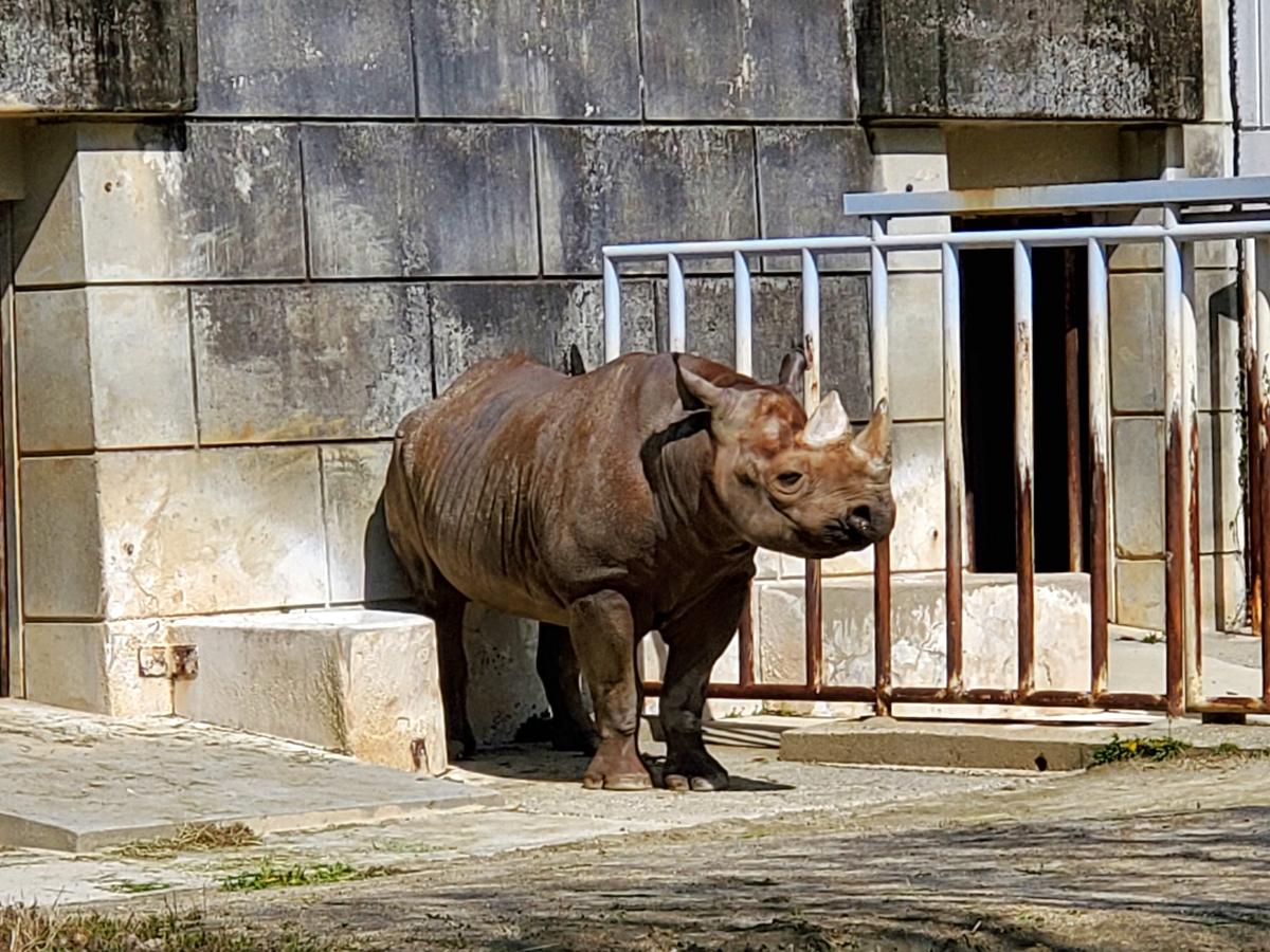 旅探 たびたん 東山動植物園 名古屋市千種区 の投稿写真一覧 1ページ