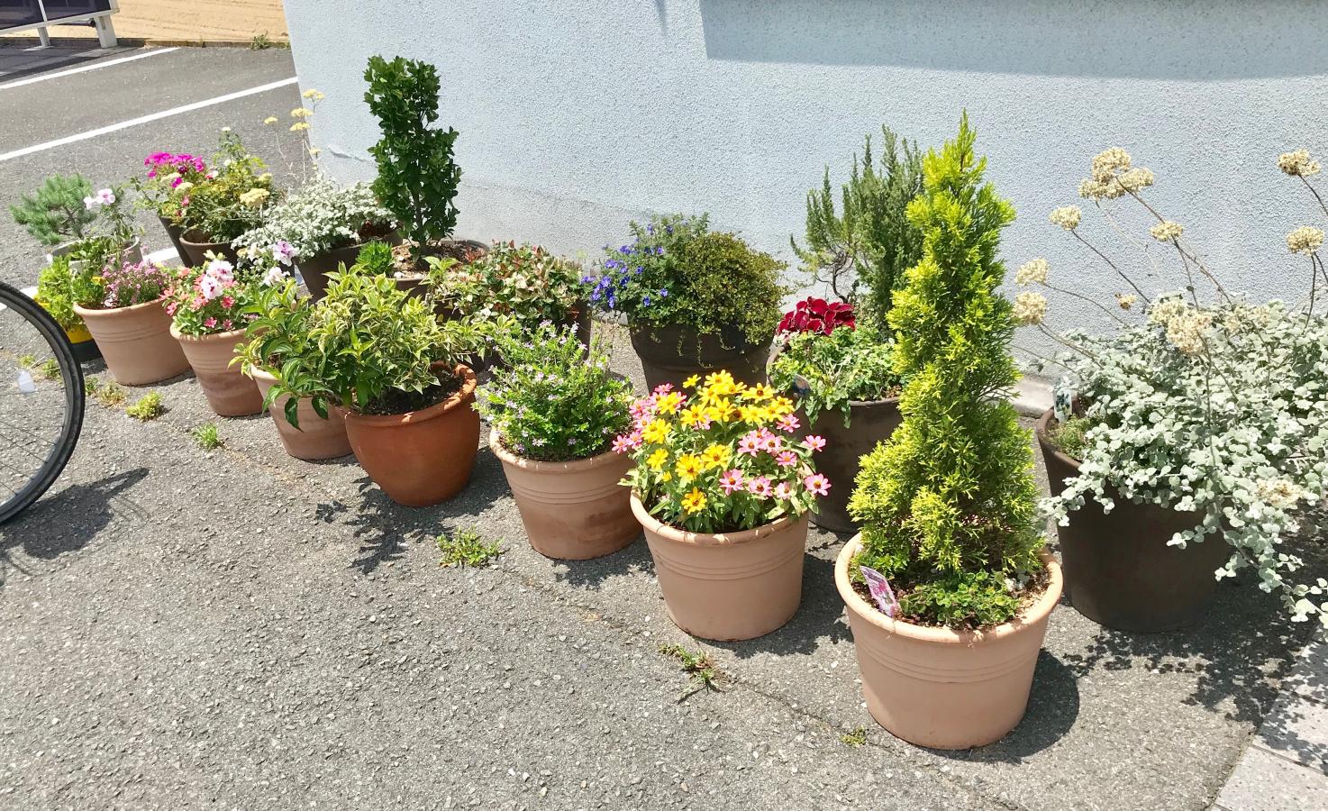 ドクターマップ 石田診療所 松原市別所