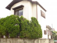 マーケットピア ファッションセンターしまむら 松永店 福山市柳津町