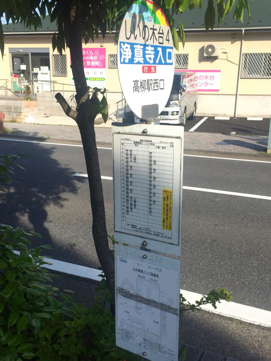 ユキサキナビ ちばレインボーバス しいの木台４ バス停留所 柏市しいの木台