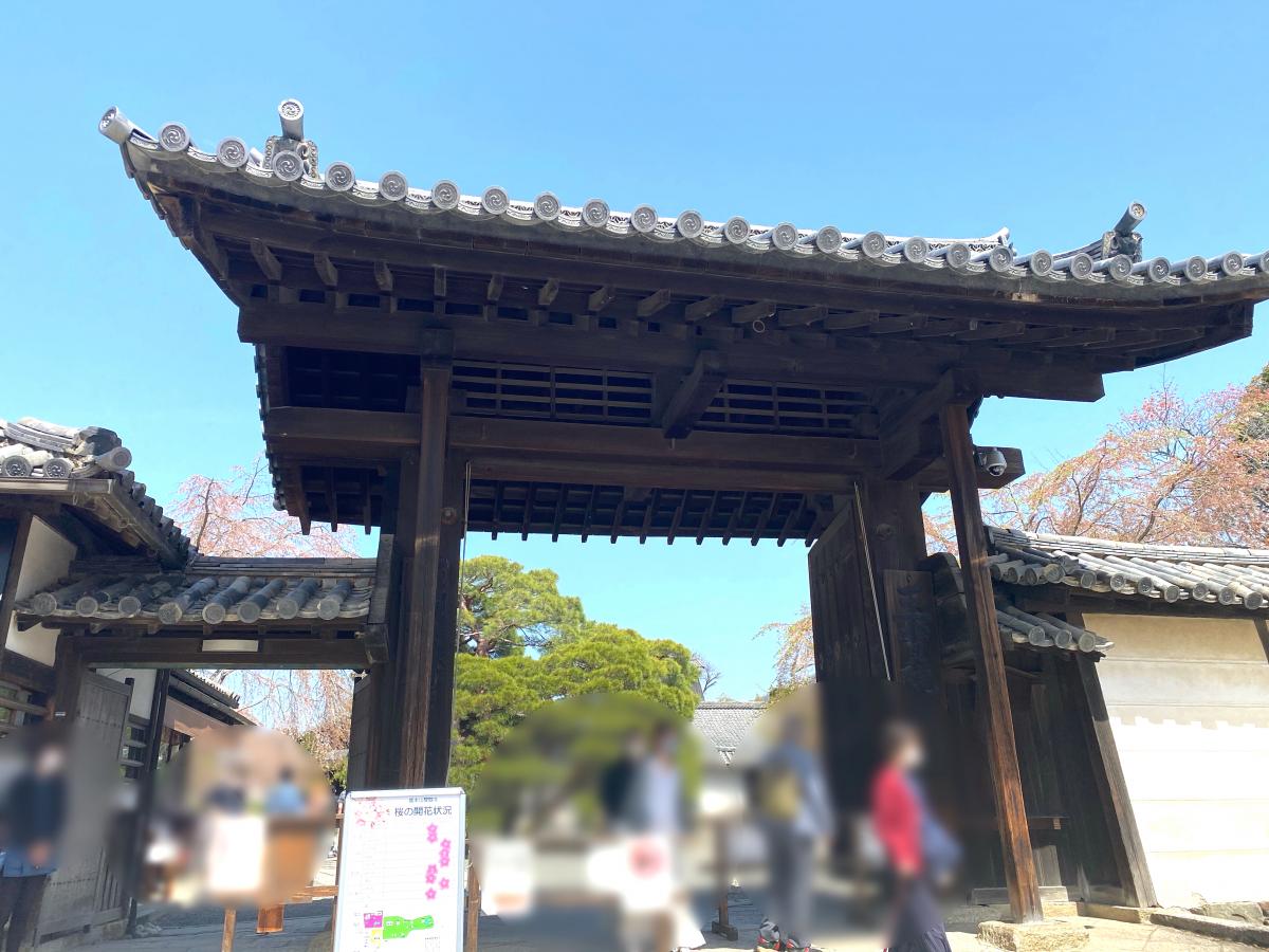 旅探 たびたん 三宝院 醍醐寺塔頭