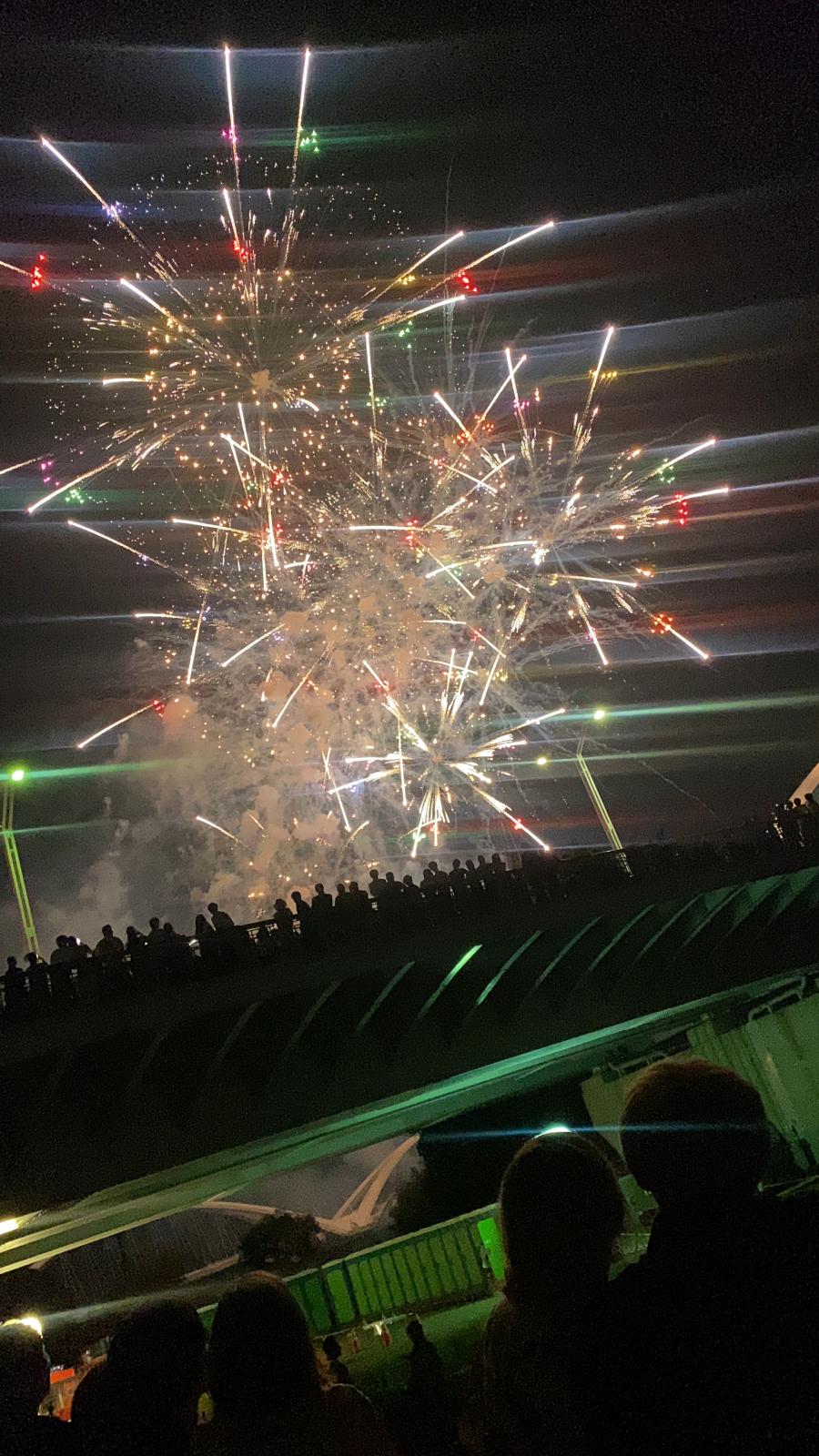 旅探 たびたん 豊田おいでんまつり花火大会