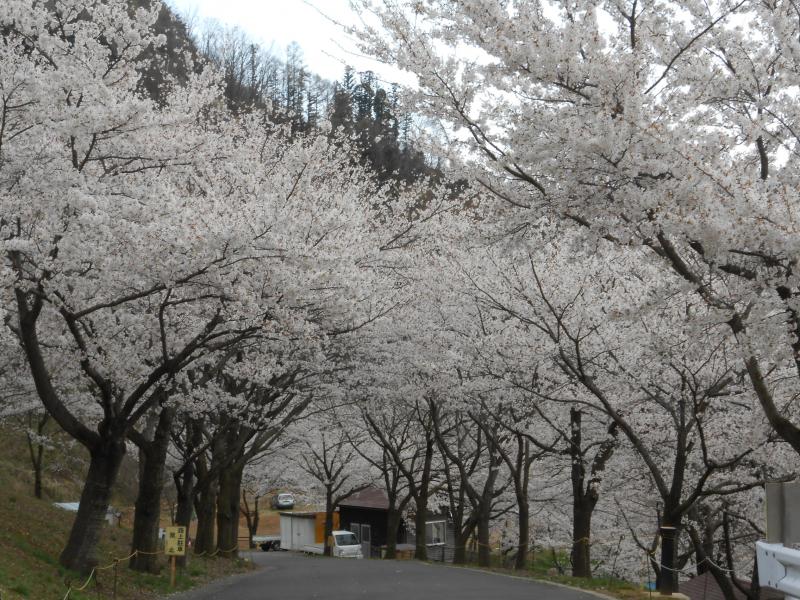 旅探 たびたん 戸倉宿キティパーク 千曲市戸倉
