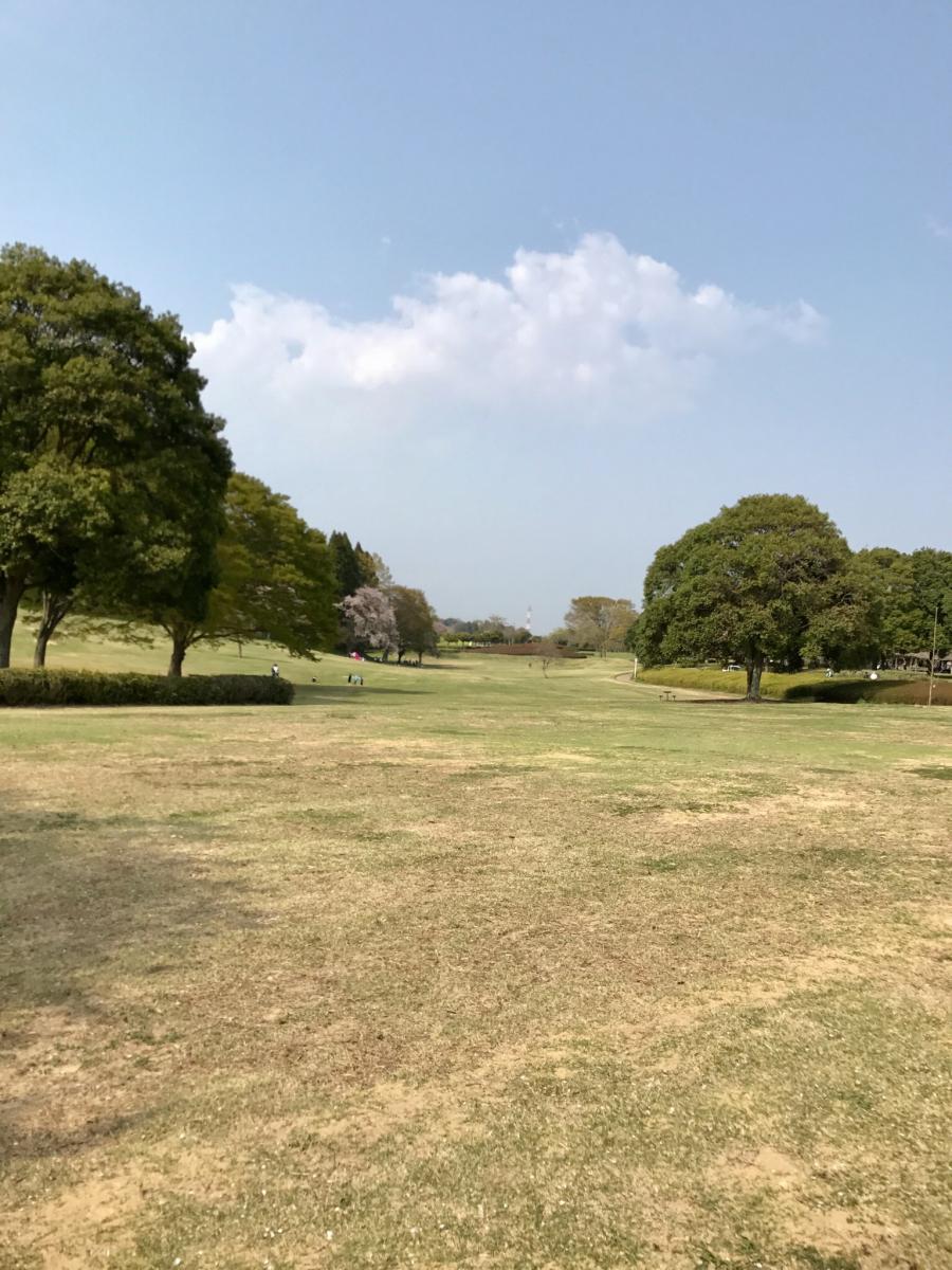 昭和の森