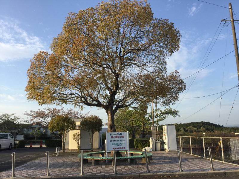 【パブリネット】脇之島北公園（多治見市）