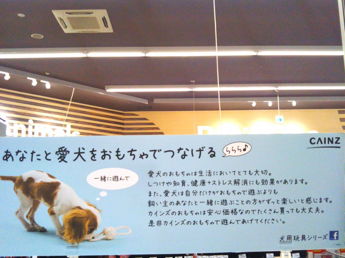 ドッグメディカル 本間獣医科医院カインズホーム名古屋大高病院 名古屋市緑区 周辺施設 口コミ 写真 動画