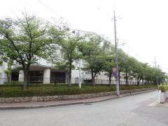 スタディピア 伊丹市の短大 大学 大学院一覧 ホームメイト