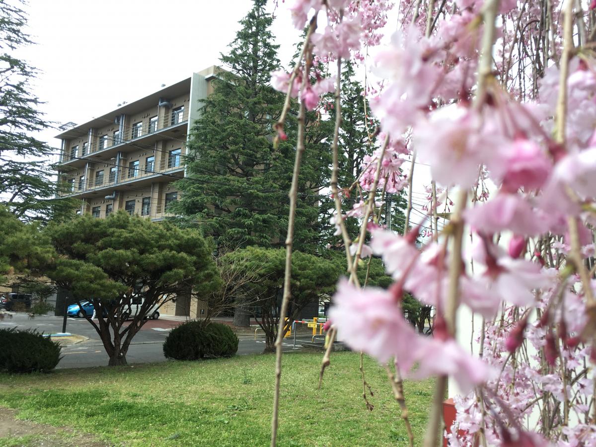 スタディピア 東北大学片平キャンパス 仙台市青葉区