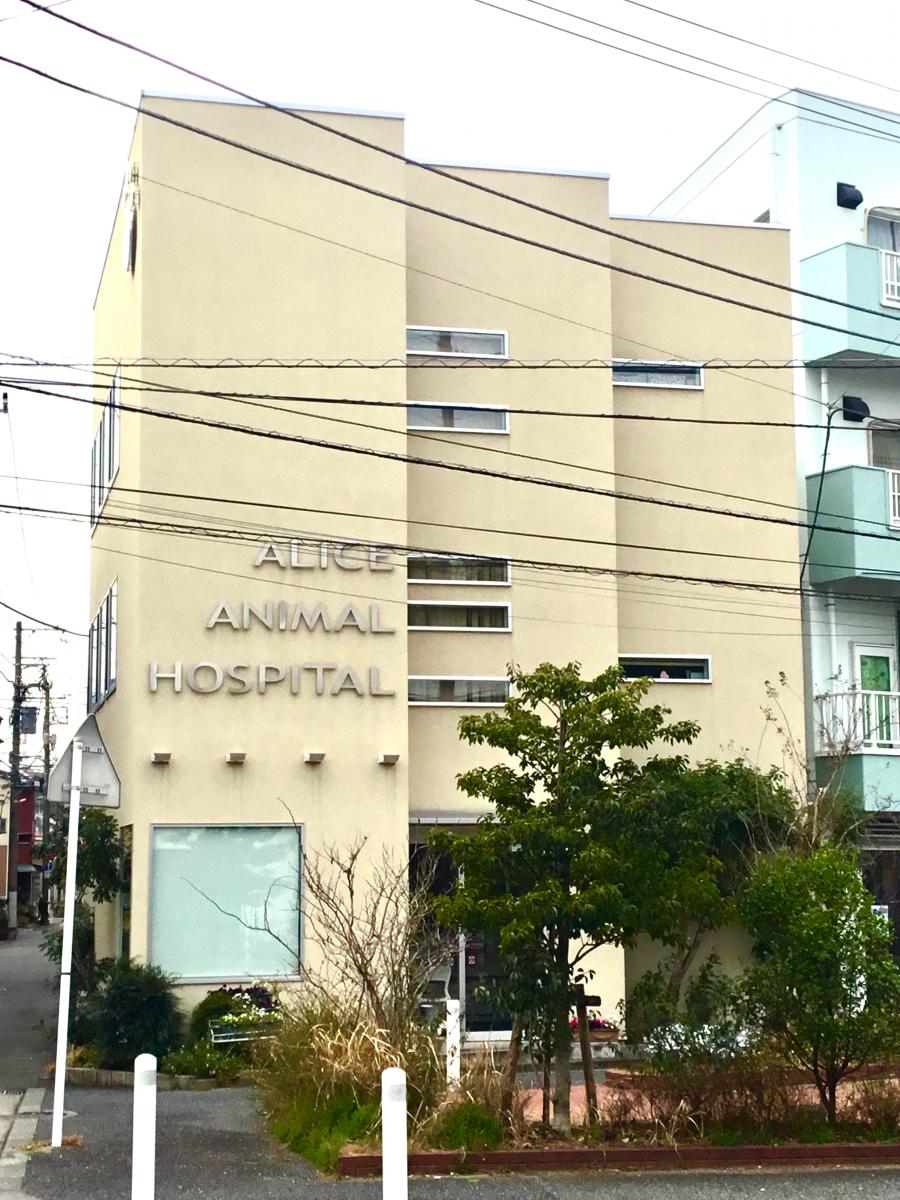 ドッグメディカル アリス動物病院 横浜市港北区大曽根 ドッグメディカル アリス動物病院 横浜市港北区大曽根