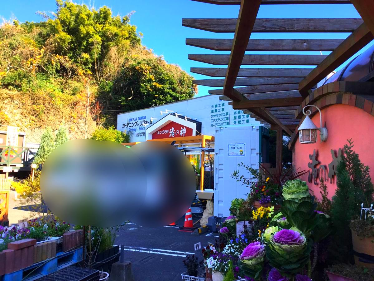 マーケットピア ガーデニング ファーマーズ滝の神 鹿児島市吉野町