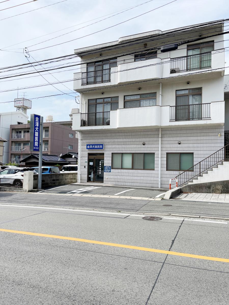 ドッグメディカル 金澤犬猫病院 北九州市門司区東新町