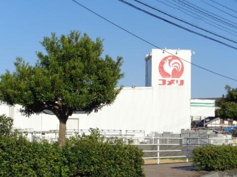 マーケットピア コメリハード グリーン 三輪店