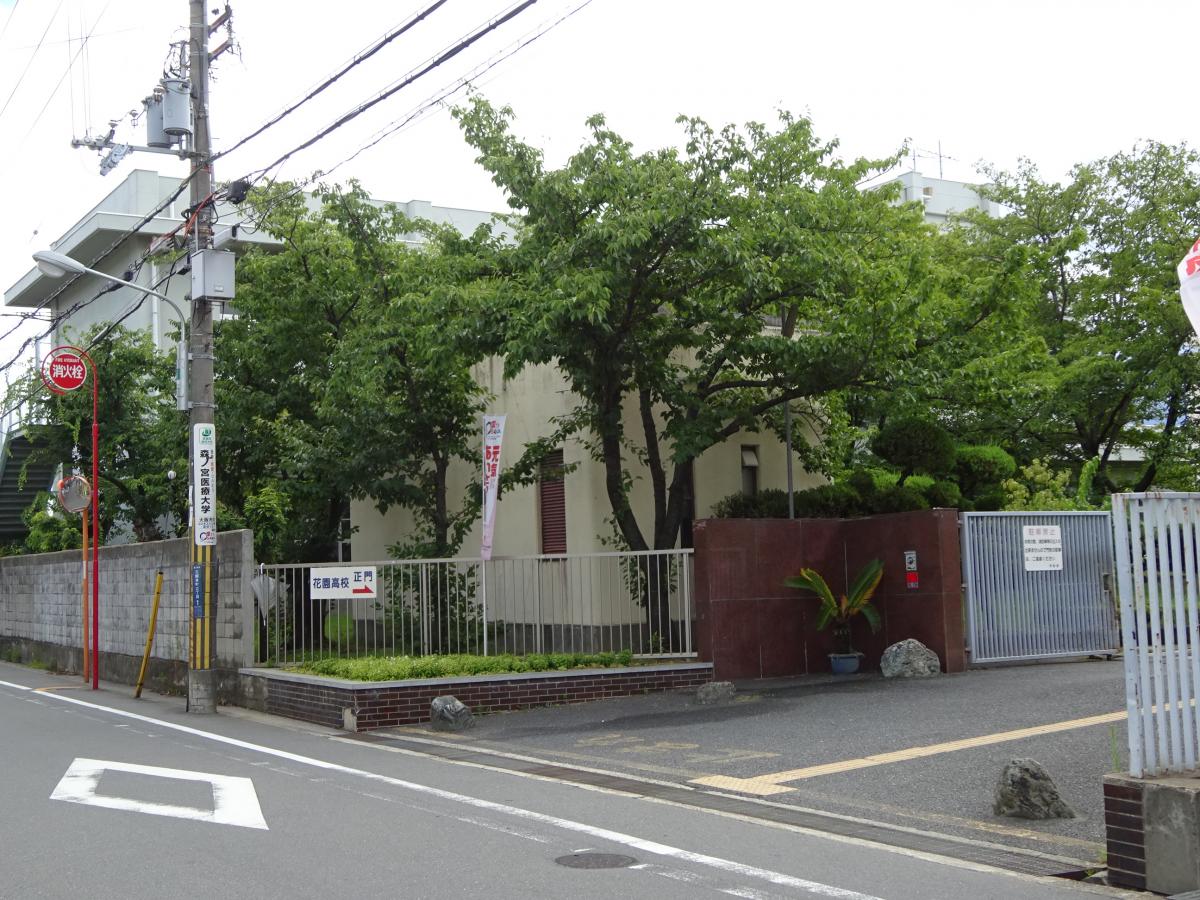 スタディピア 花園高校