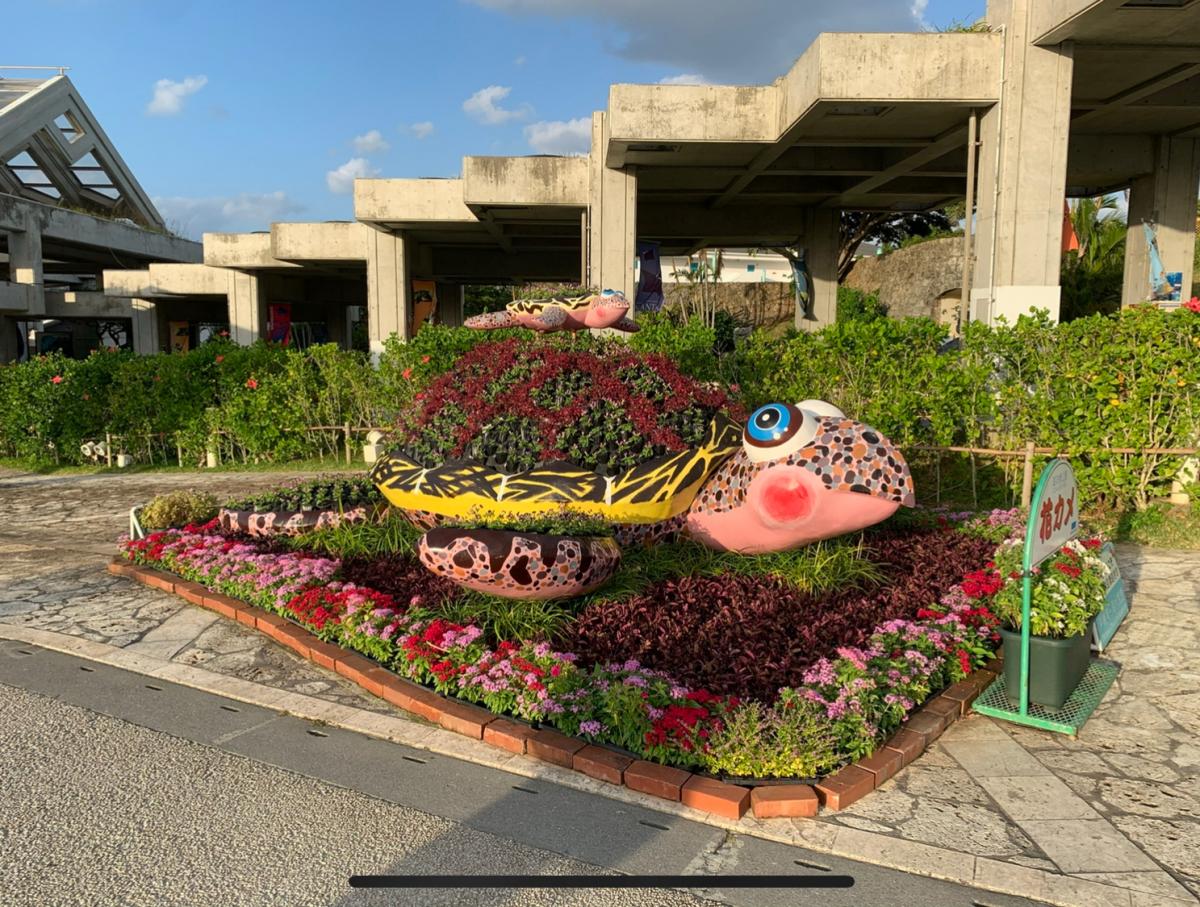 ホームメイト リサーチ 名護 国頭エリア 名護市 大宜味村 国頭村 今帰仁村 本部町 の観光マップ レジャーマップ