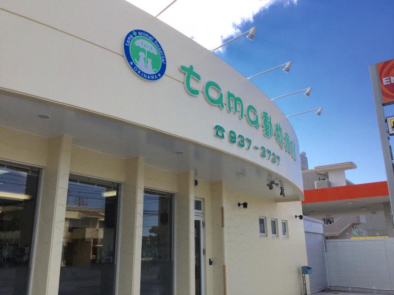 ドッグメディカル ｔａｍａ動物病院 沖縄市古謝