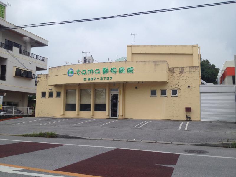 ドッグメディカル ｔａｍａ動物病院 沖縄市古謝