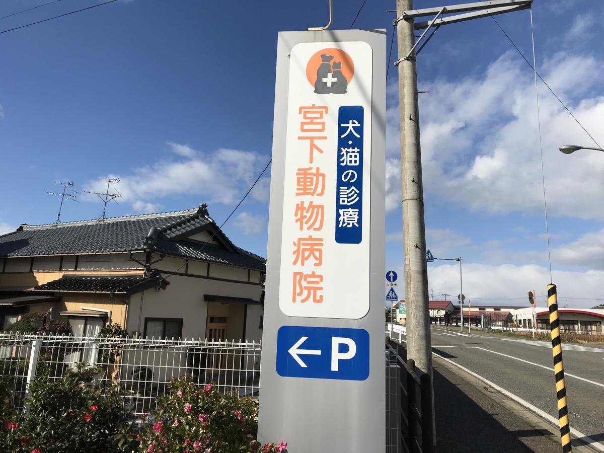 ドッグメディカル 宮下動物病院