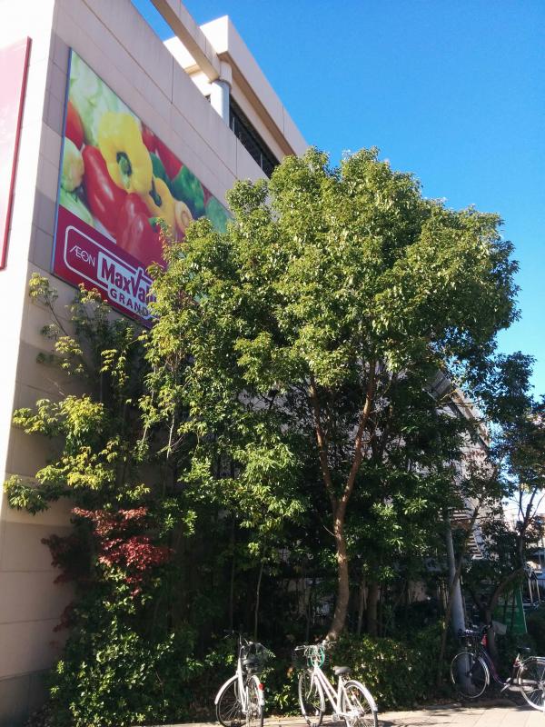 マックスバリュ 千種若宮大通店／ホームメイト