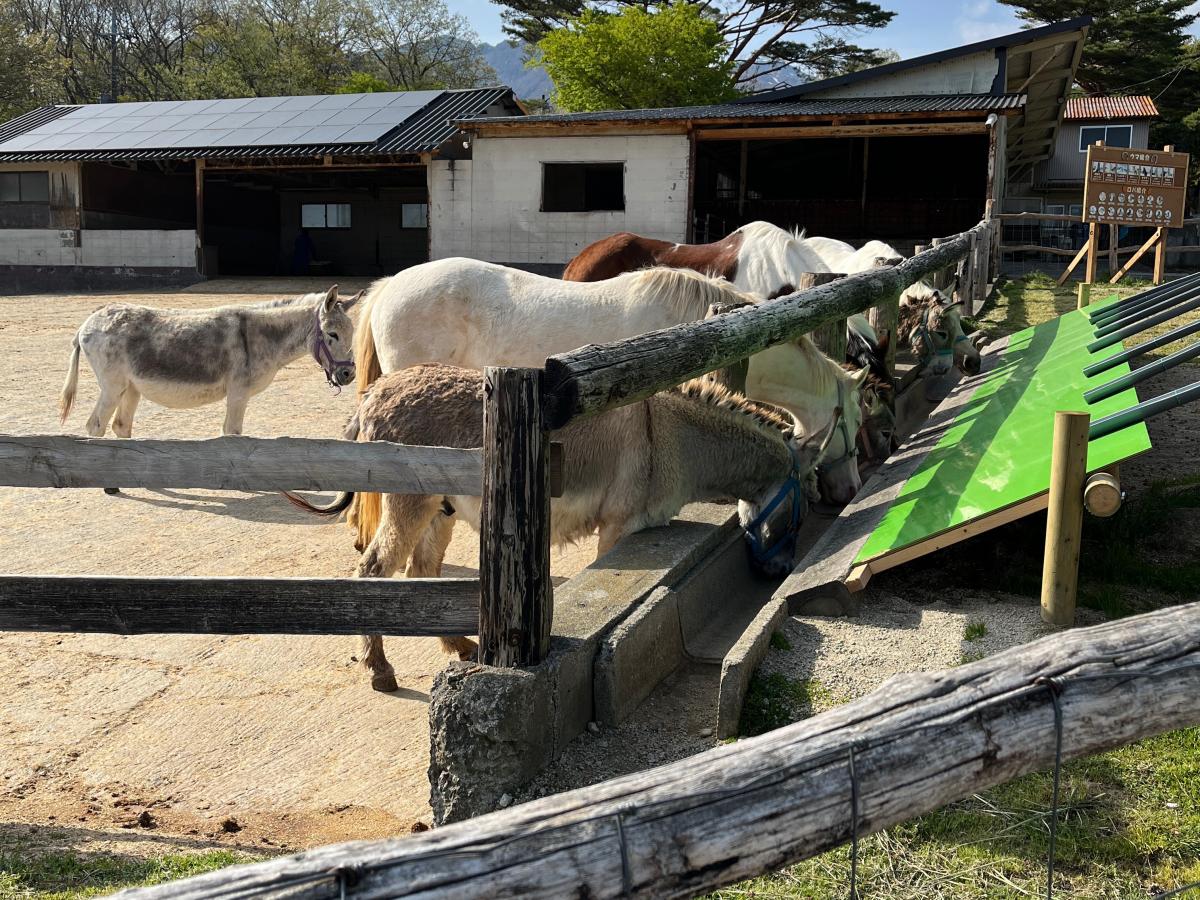 旅探 たびたん 口コミ 那須高原南ヶ丘牧場