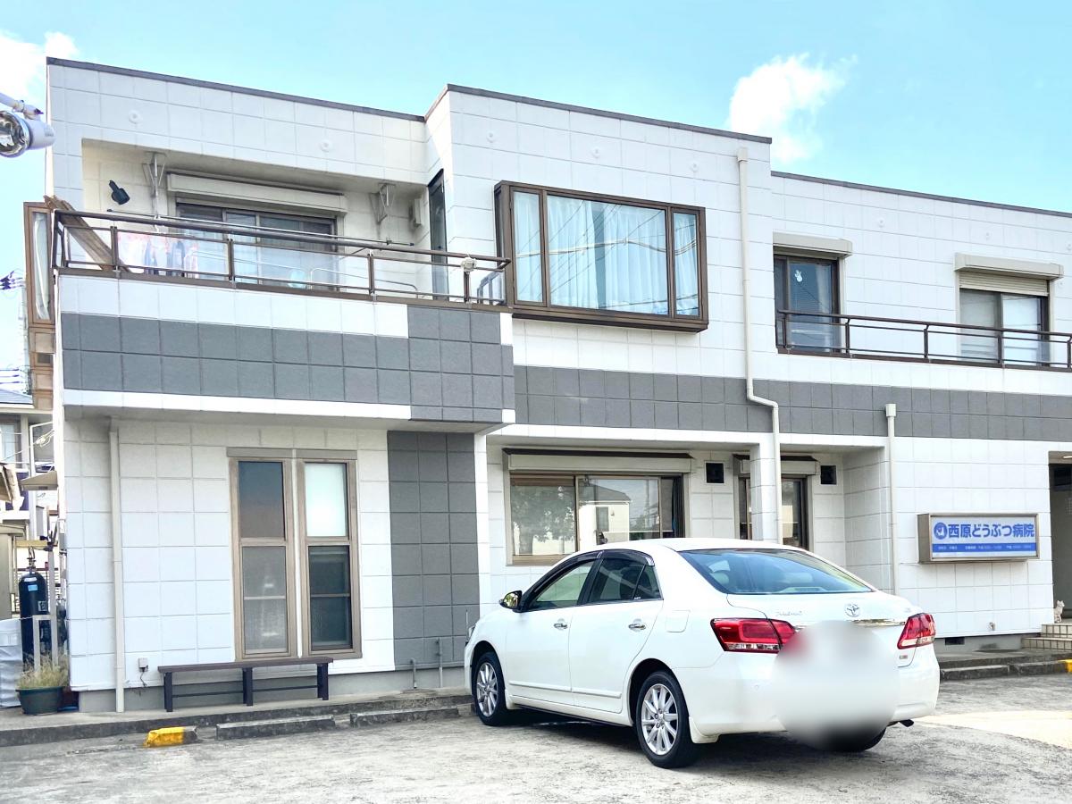 ドッグメディカル 西原動物病院 鎌ケ谷市東初富