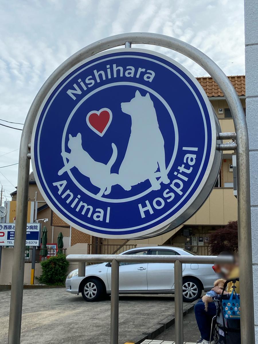 ドッグメディカル 西原動物病院 鎌ケ谷市東初富