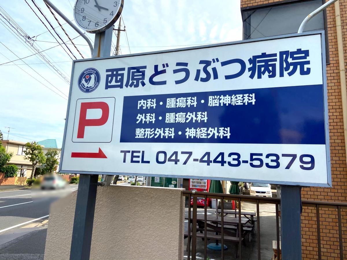 ドッグメディカル 西原動物病院 鎌ケ谷市東初富