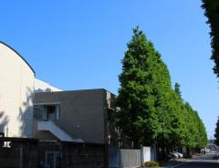 スタディピア カリタス女子高校 川崎市多摩区中野島