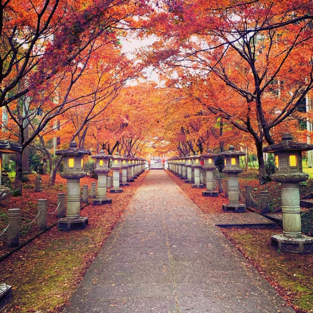 旅探 たびたん 高山寺のコメント一覧 旅探 たびたん 高山寺のコメント一覧