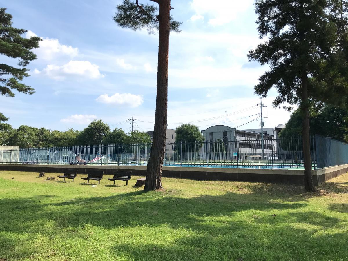 スポランド 花畑近隣公園プール