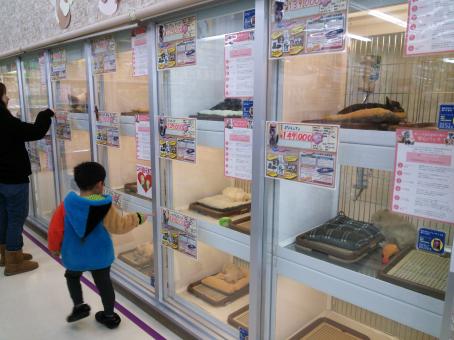 マーケットピア エスポット小田原ペットショップ店 小田原市前川