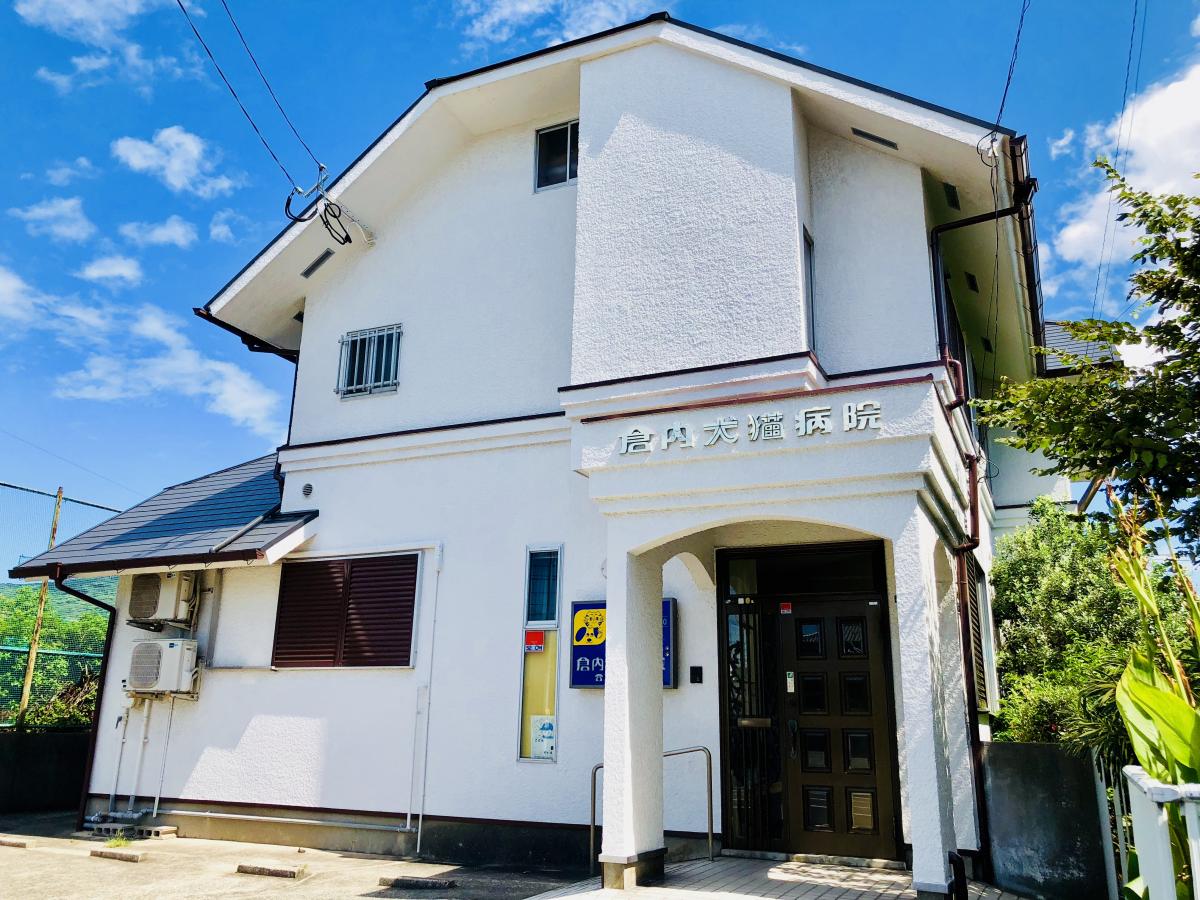 ドッグメディカル 倉内犬猫病院 北九州市若松区二島