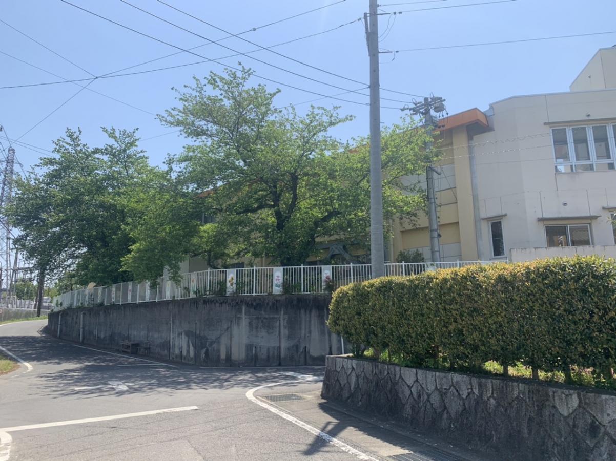 スタディピア】浄光こども園