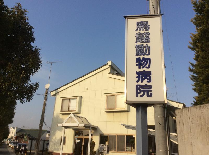 ドッグメディカル 鳥越動物病院