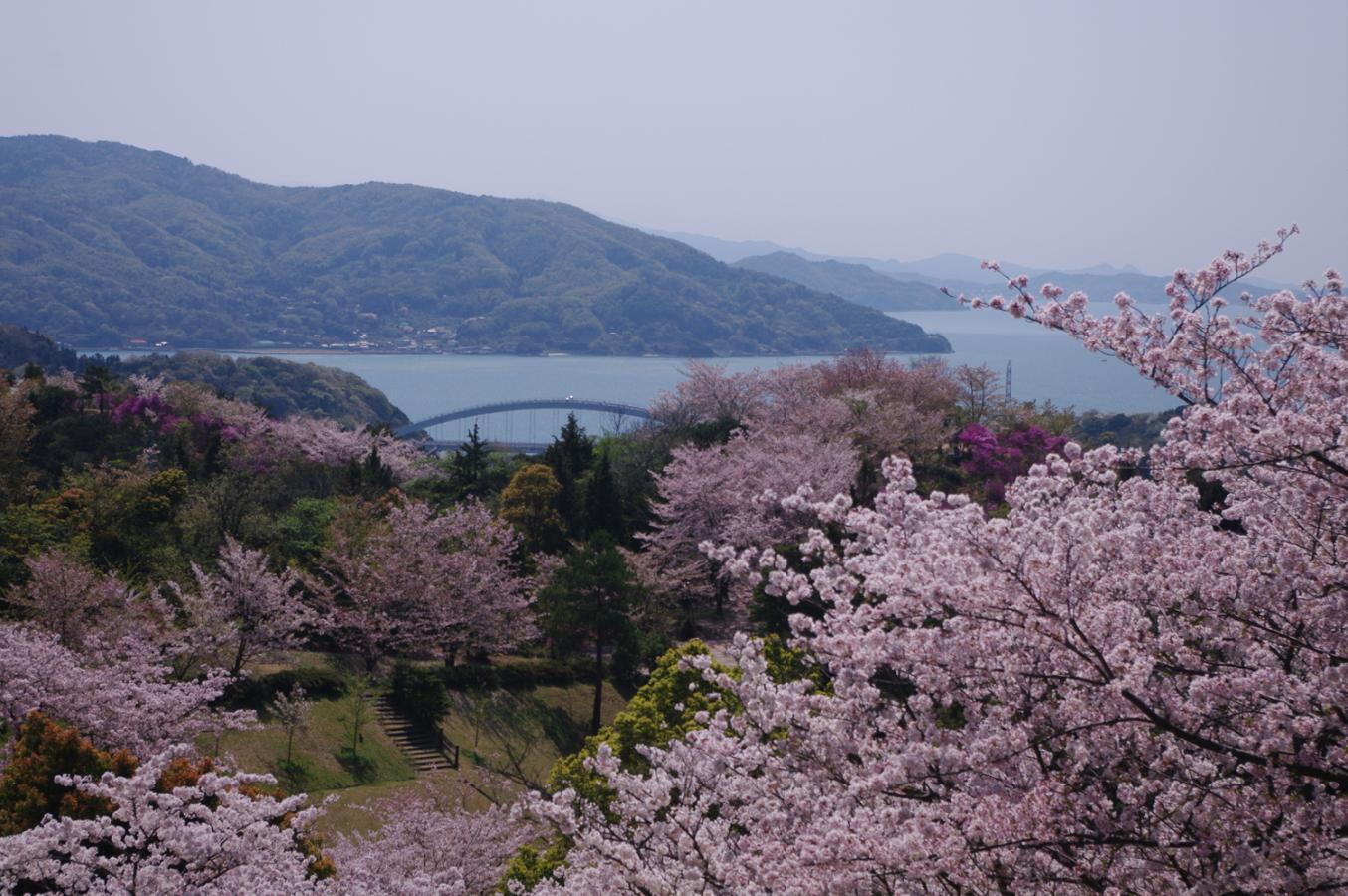 パブリネット 開山公園 パブリネット 開山公園