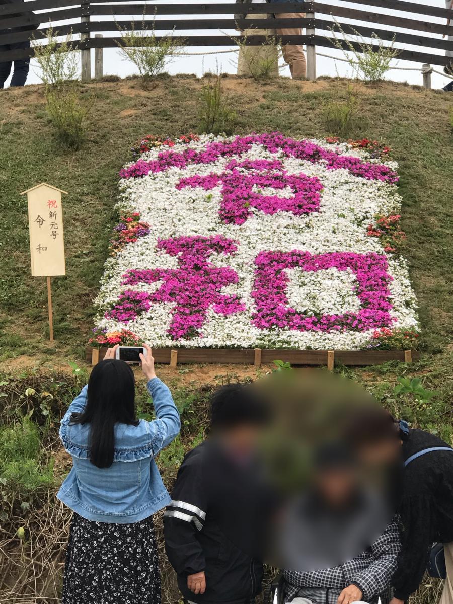 旅探 たびたん ｆｌｏｗｅｒ ｖｉｌｌａｇｅ 花夢の里 世羅郡世羅町上津田