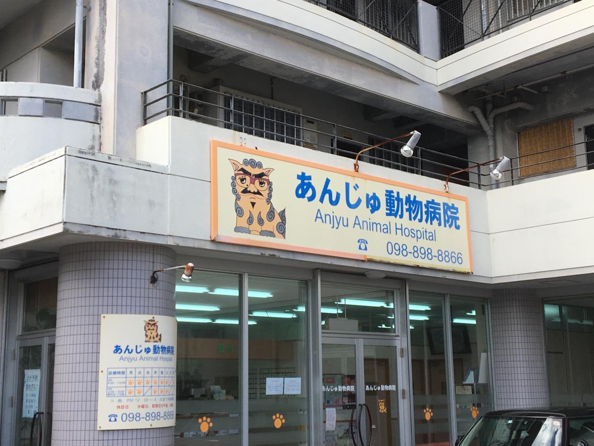 ドッグメディカル あんじゅ動物病院 宜野湾市真志喜