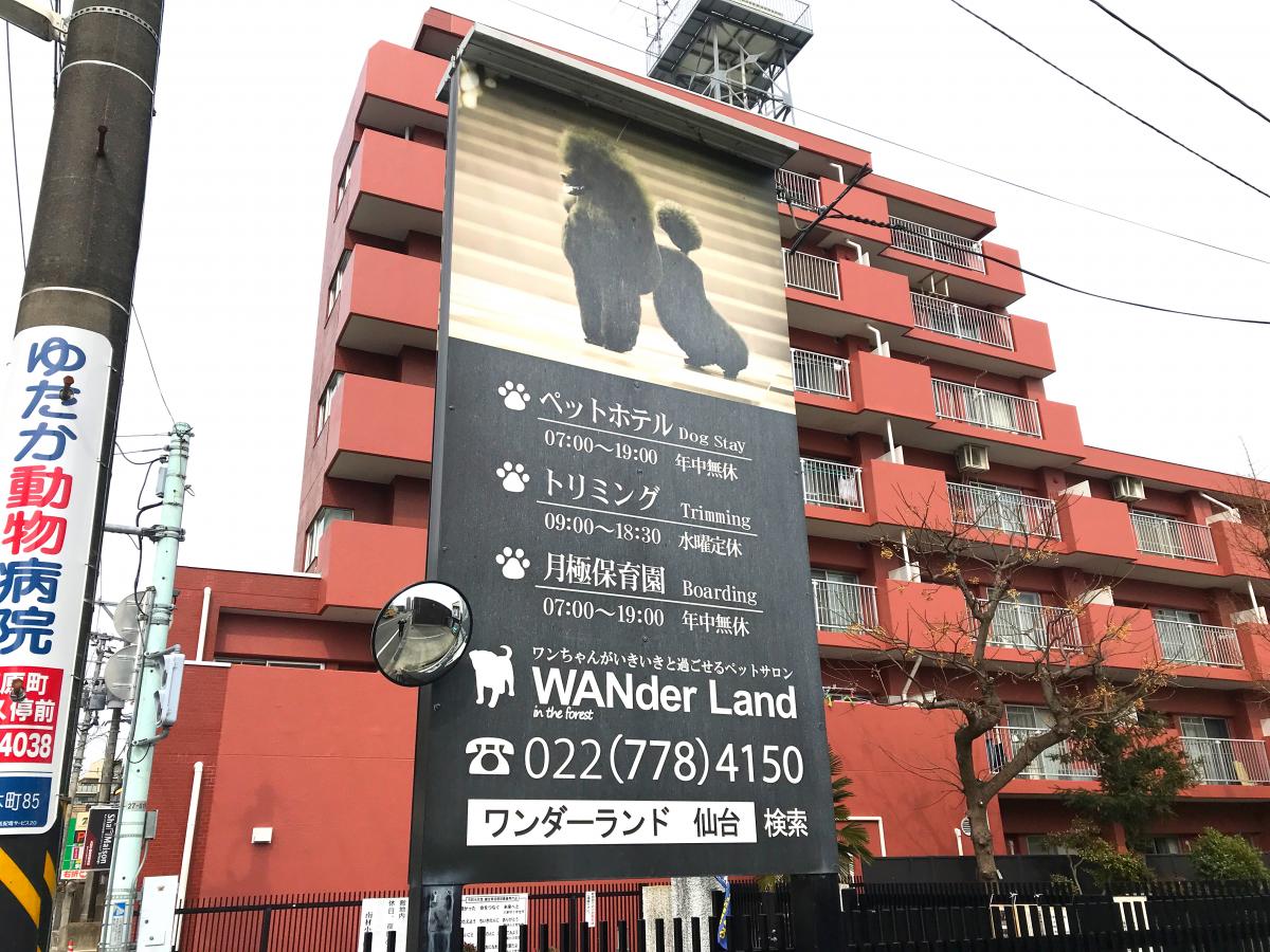 マーケットピア ワンダーランド