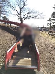 パブリネット 西多摩郡瑞穂町の公園 庭園 緑地一覧