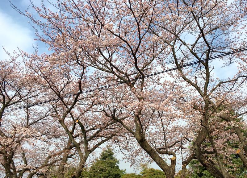 パブリネット 浅間台大公園 上尾市