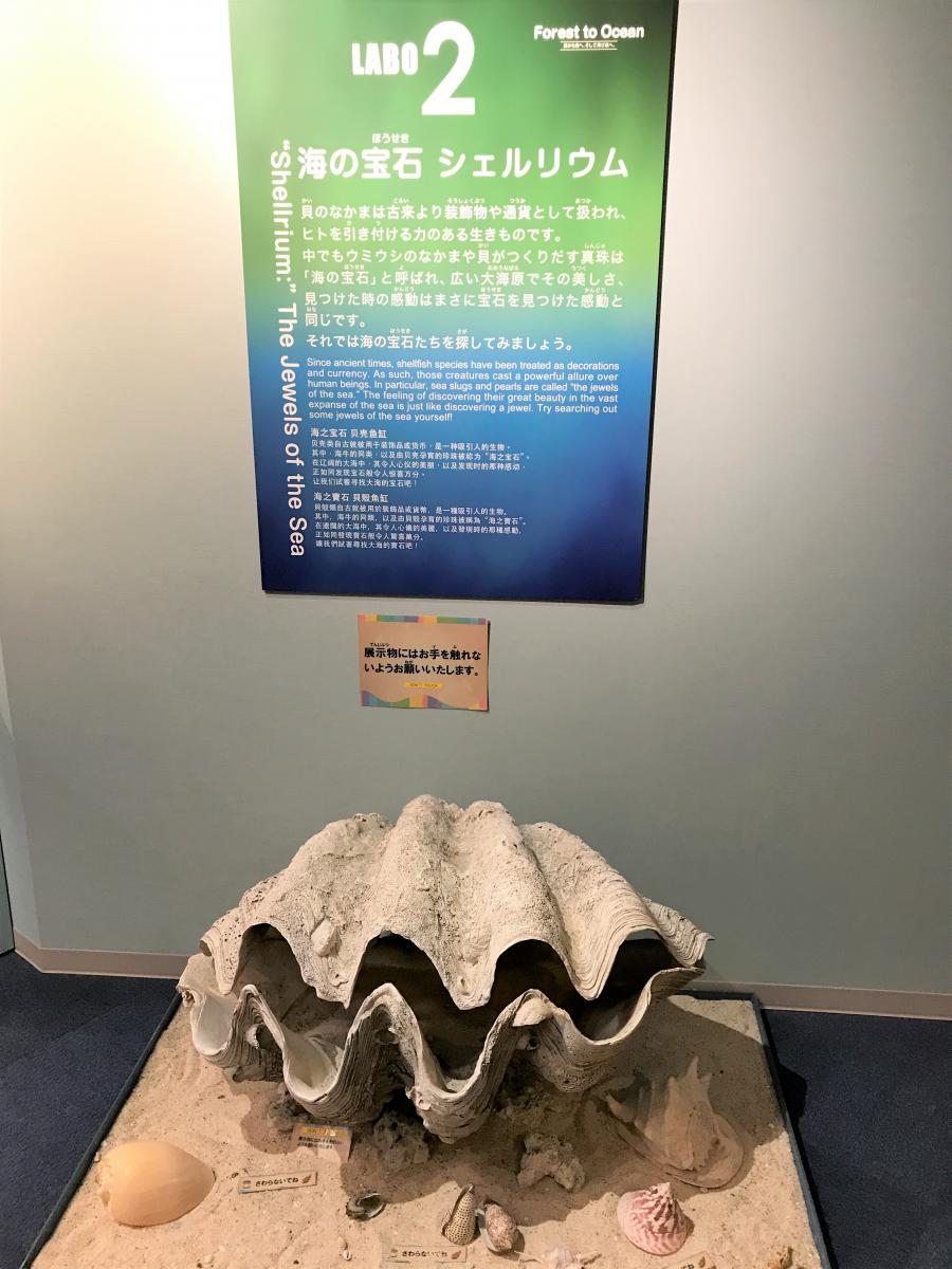 旅探 たびたん 横浜 八景島シーパラダイス 横浜市金沢区八景島