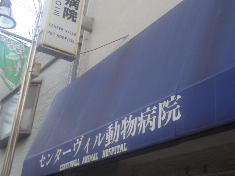 ドッグメディカル センターヴィル動物病院 目黒区自由が丘