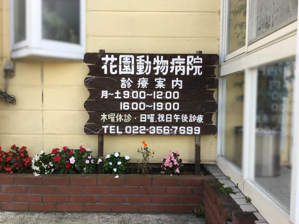 ドッグメディカル 花園動物病院 宮城郡利府町花園