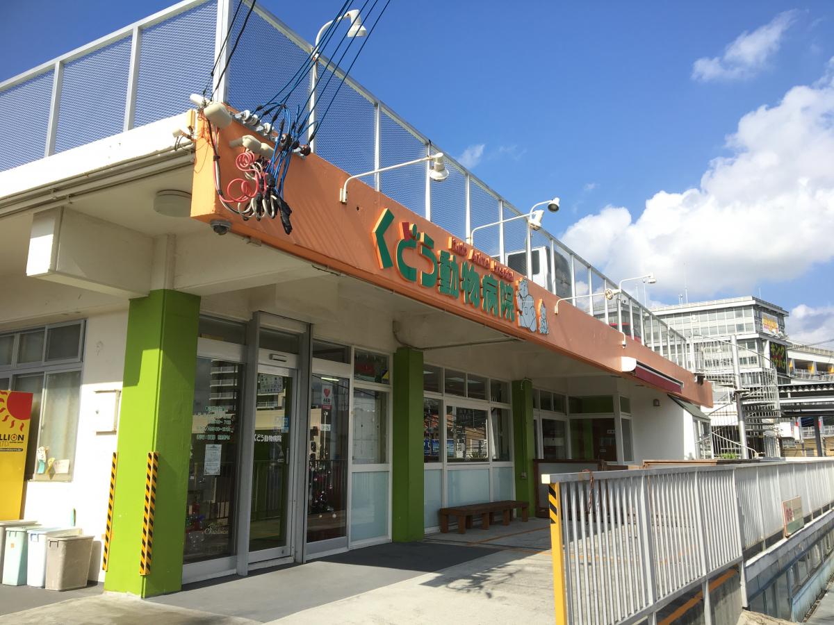 ドッグメディカル くどう動物病院