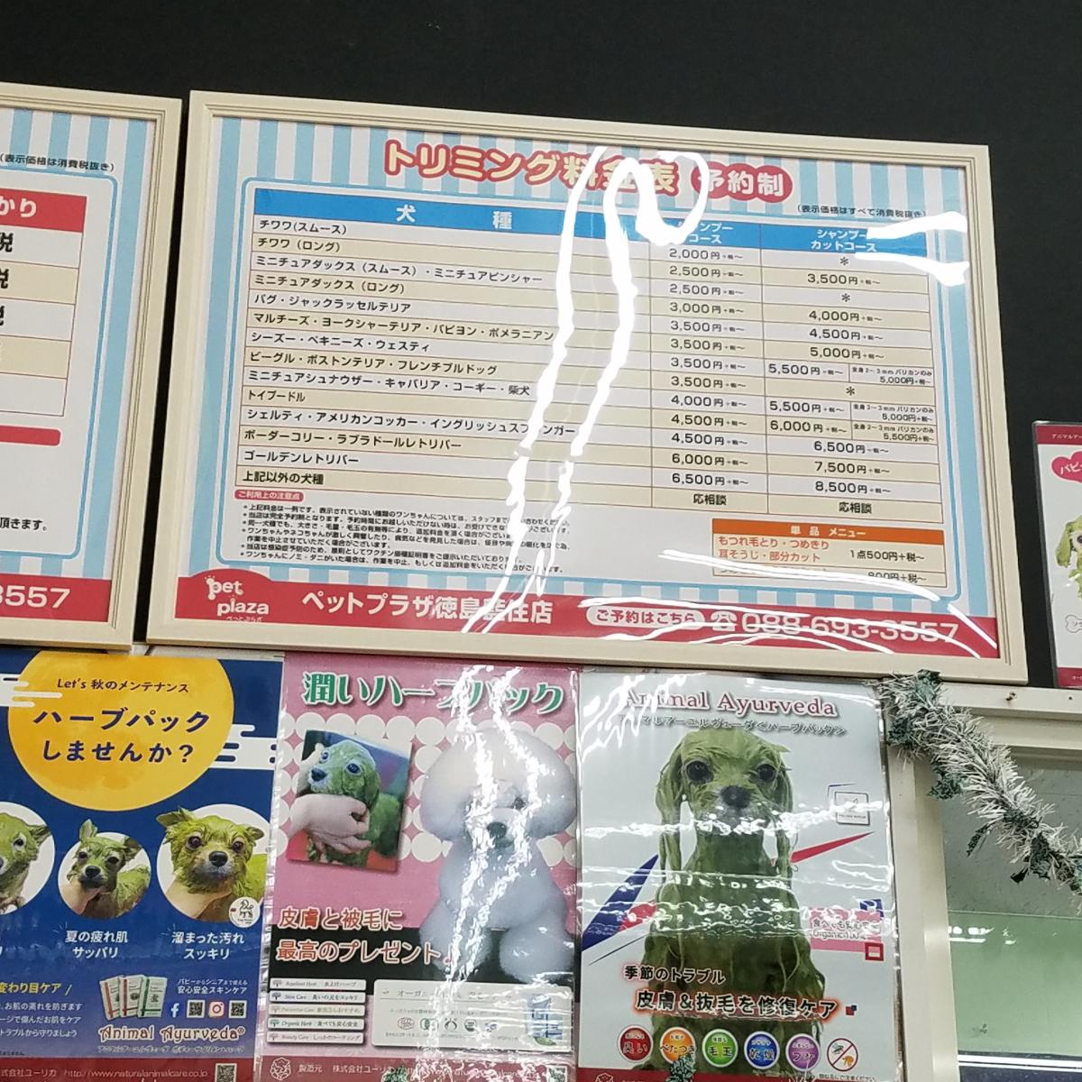 マーケットピア ペットプラザ ペットサロン松山 ペットプラザ藍住店 板野郡藍住町 のお気に入りコメント 口コミ