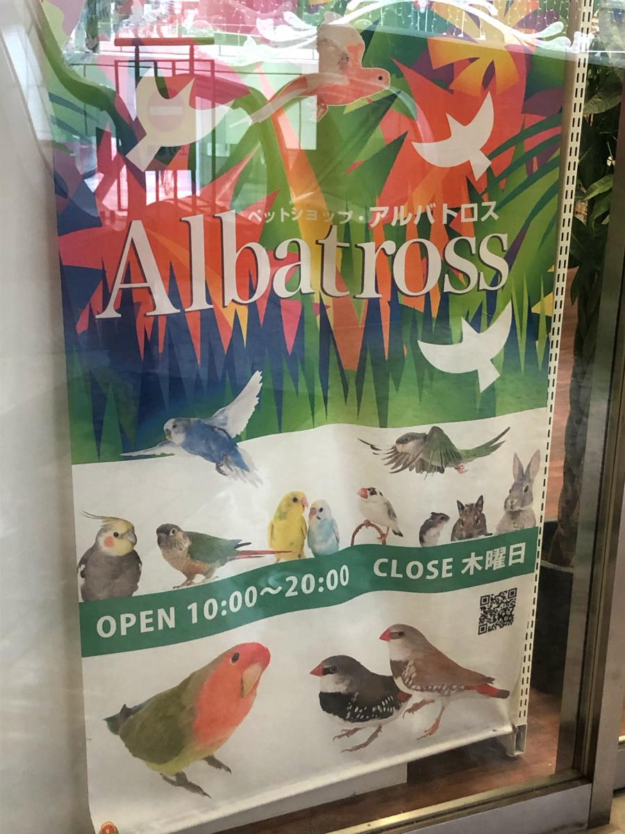 マーケットピア ｂｉｒｄ ｐｒｏ ｓｈｏｐ アルバトロス 大阪市阿倍野区阿倍野筋