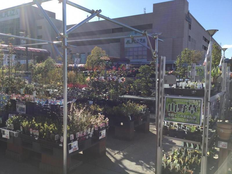 マーケットピア ディオワールド草津店 草津市西渋川