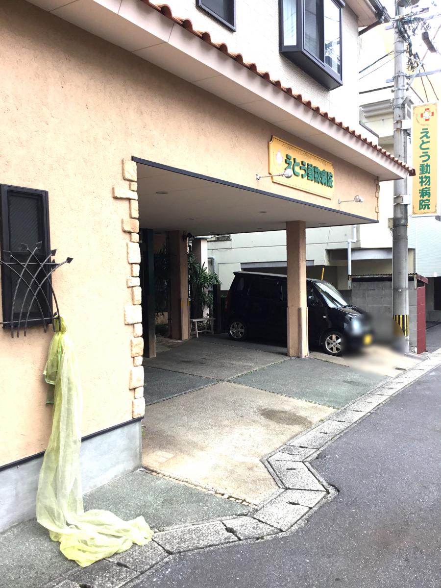 ドッグメディカル えとう動物病院 別府市南的ケ浜町