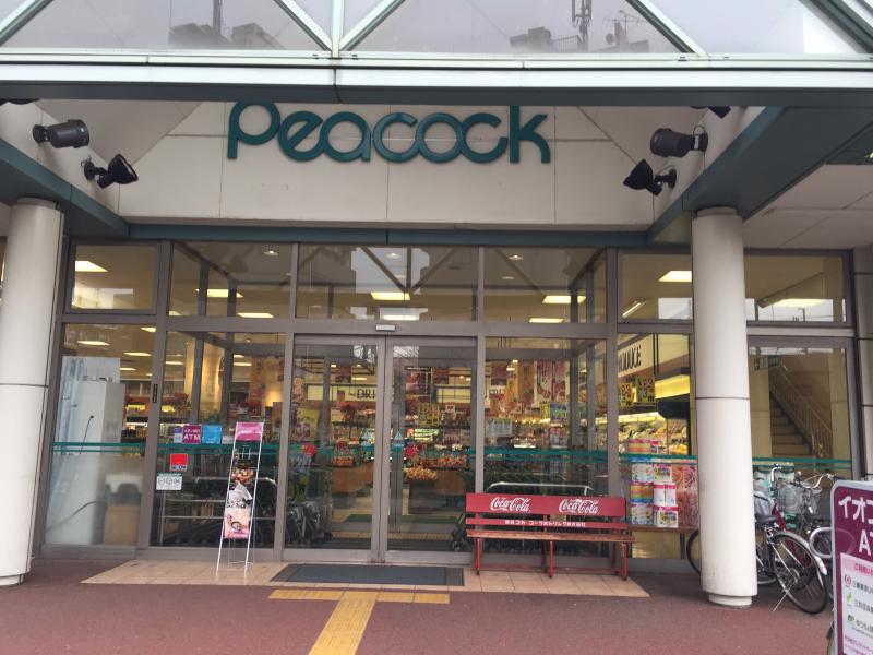 接骨ネット 花小金井整骨院 小平市 周辺施設 口コミ 写真 動画