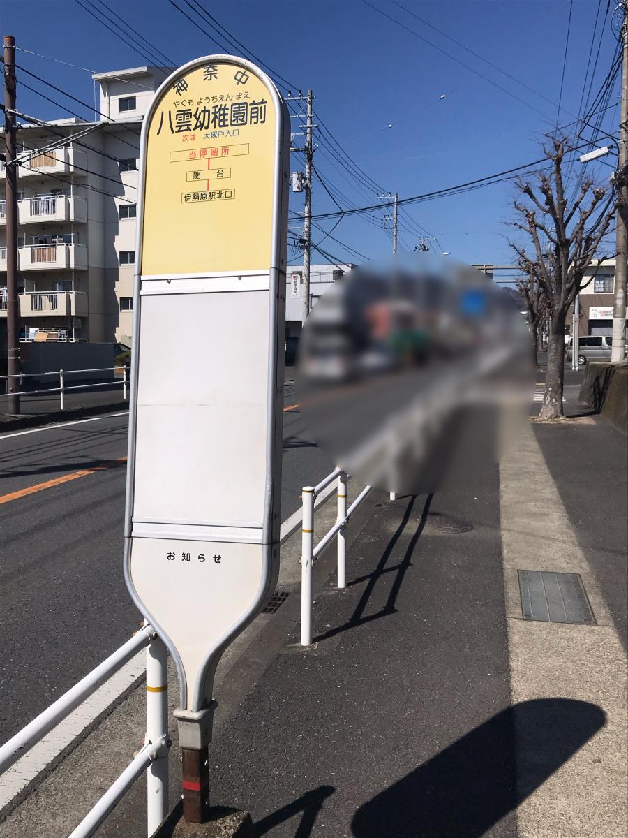 スタディピア 伊勢原八雲幼稚園 伊勢原市 周辺施設 口コミ 写真 動画