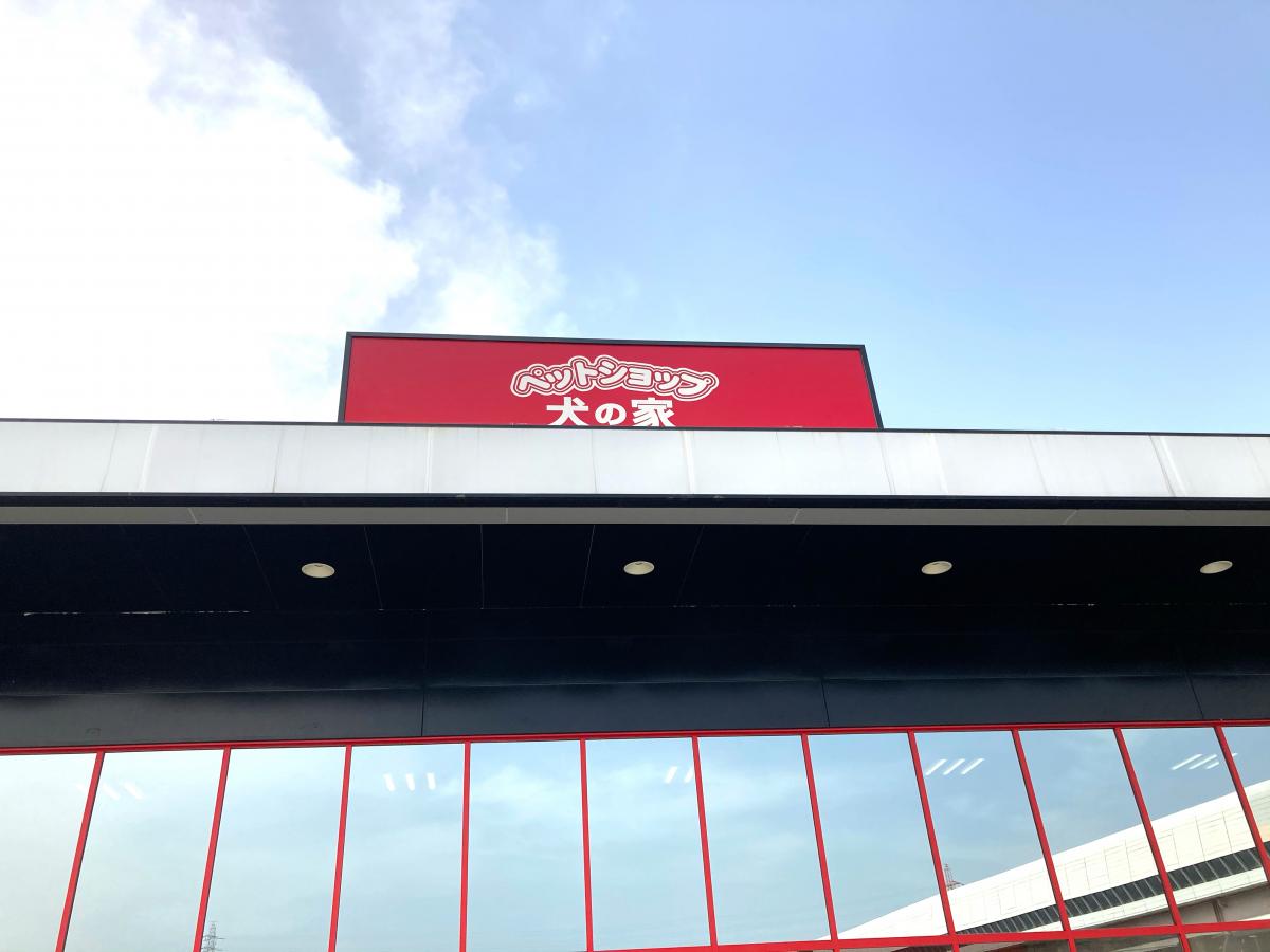 マーケットピア 投稿ユーザーアルバム ペットショップ犬の家 ｍｅｇａドンキホーテ東海名和店